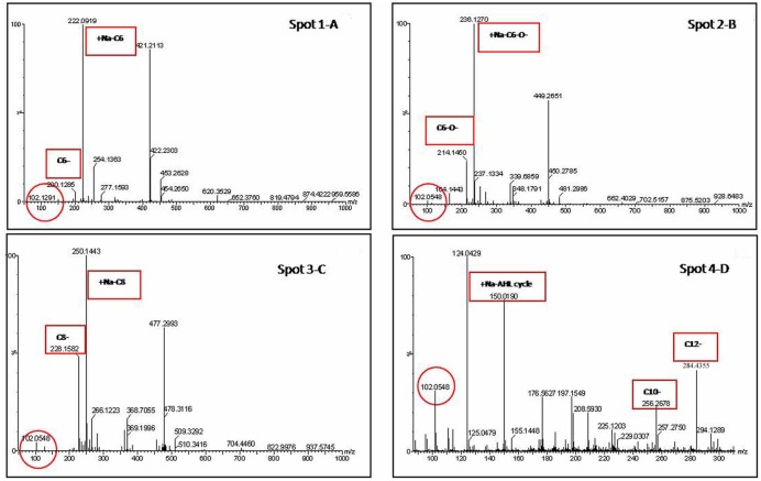 FIGURE 4