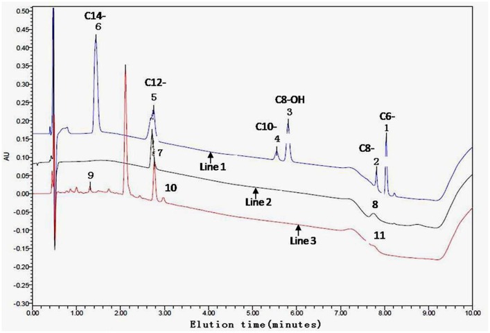 FIGURE 3