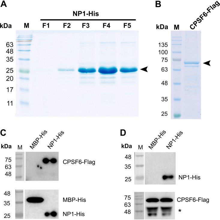 FIG 4