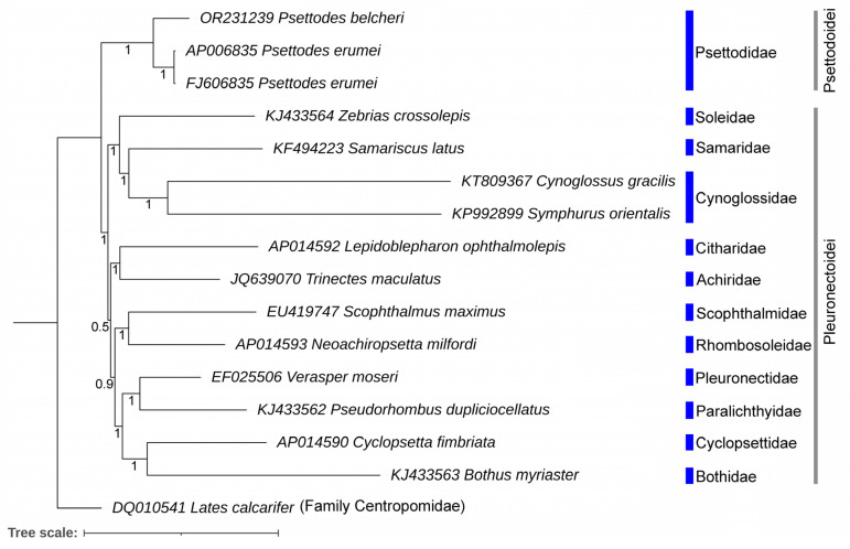 Figure 5