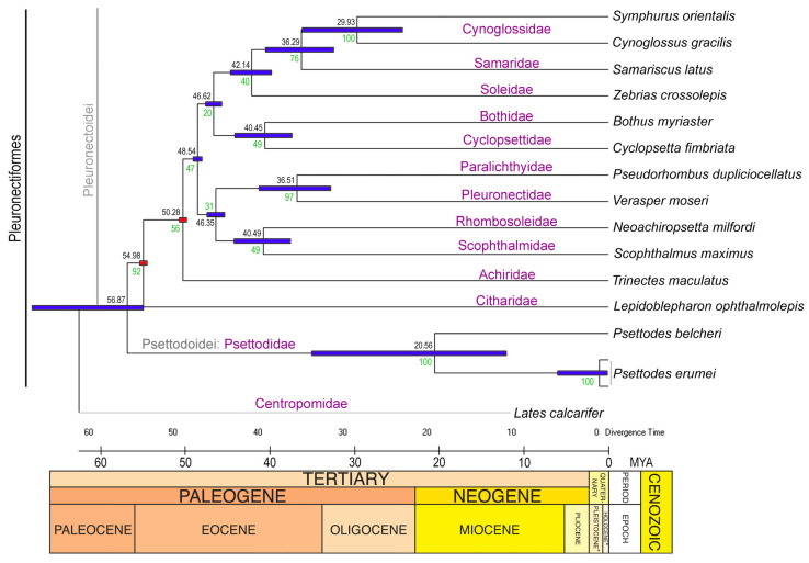 Figure 6