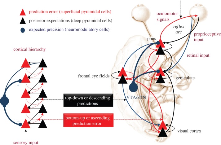 Figure 2.