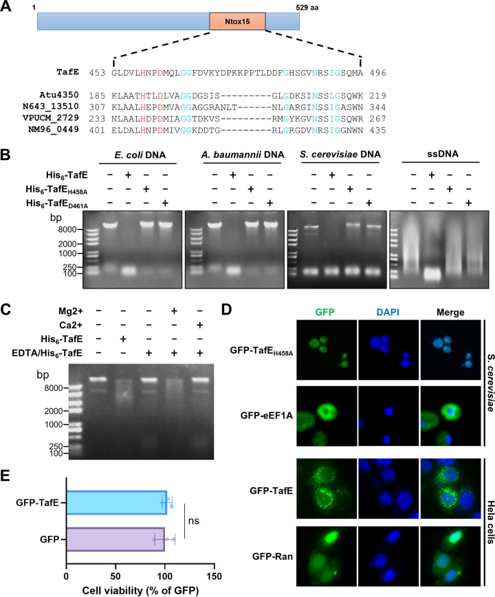 FIG 3