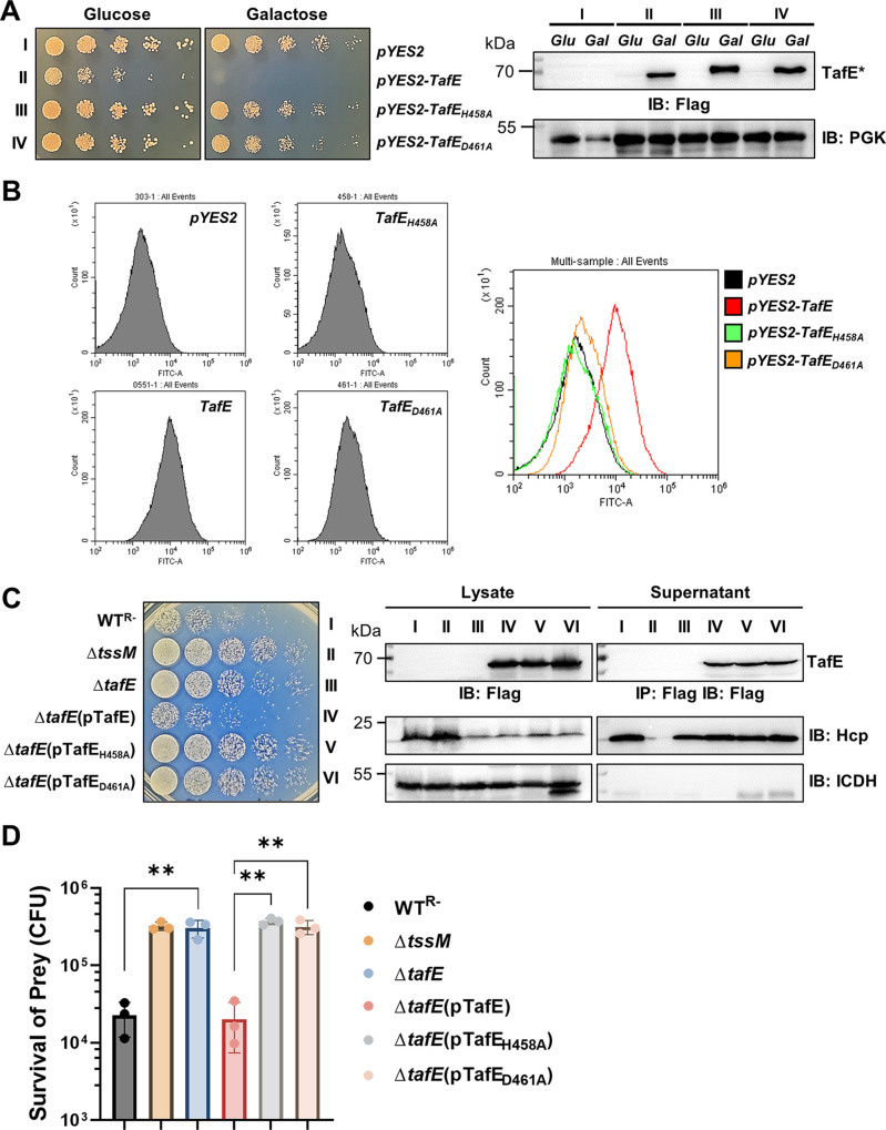 FIG 4