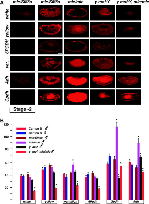 Figure 4.—