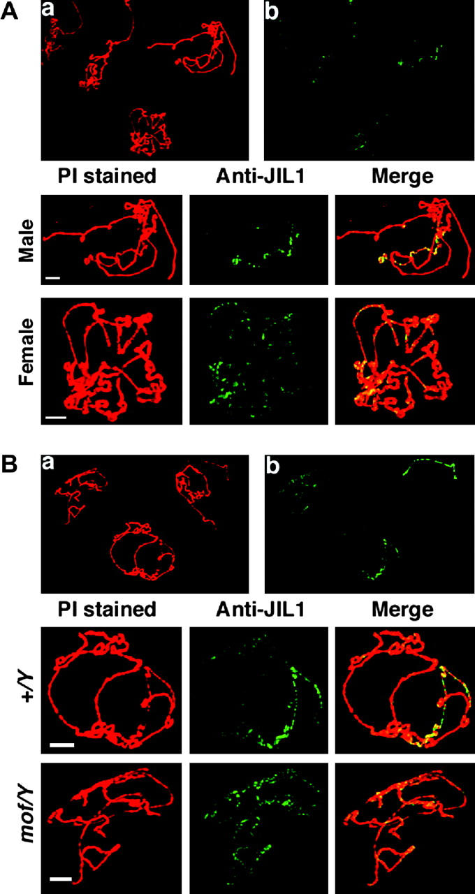 Figure 6.—