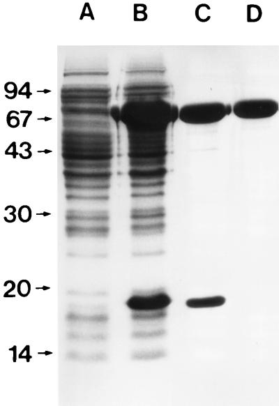 FIG. 5