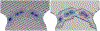 Fig. 26