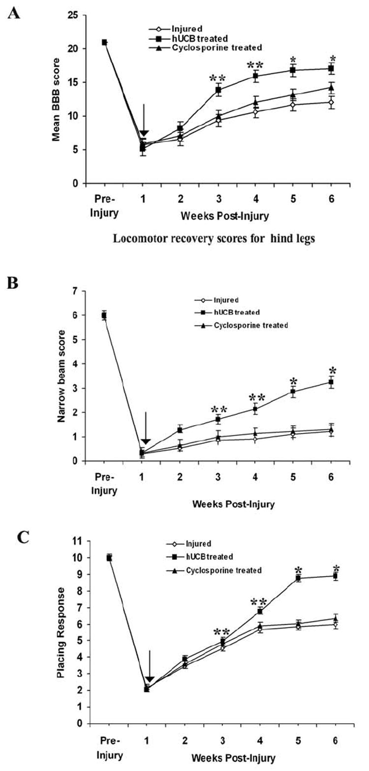 Fig. 9