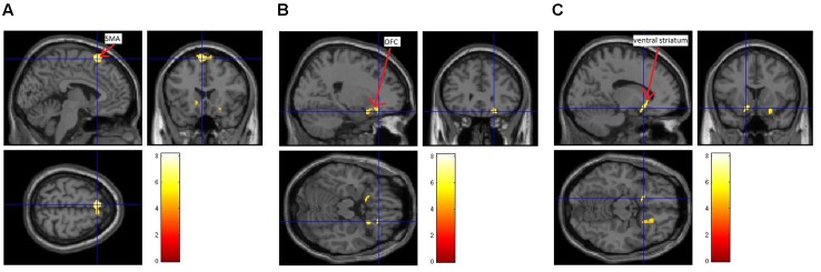 FIGURE 3