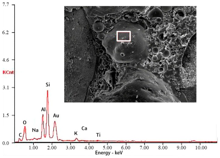 Figure 10