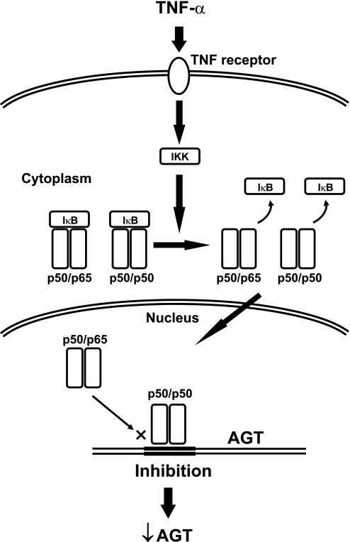 Fig. 8.