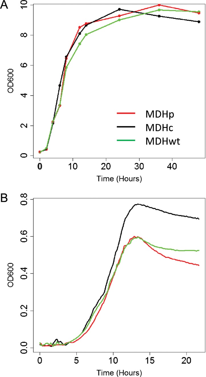 Figure 4.