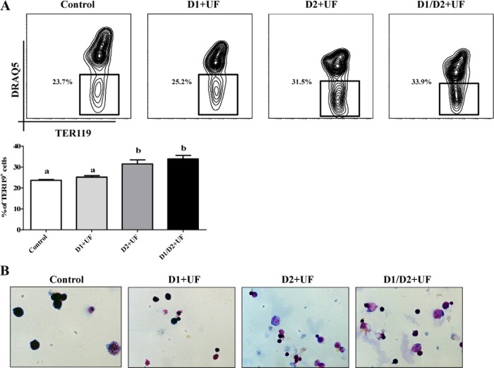 Figure 6.