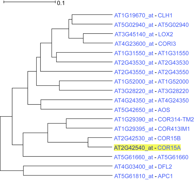 Figure 1