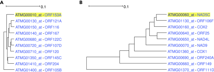 Figure 6