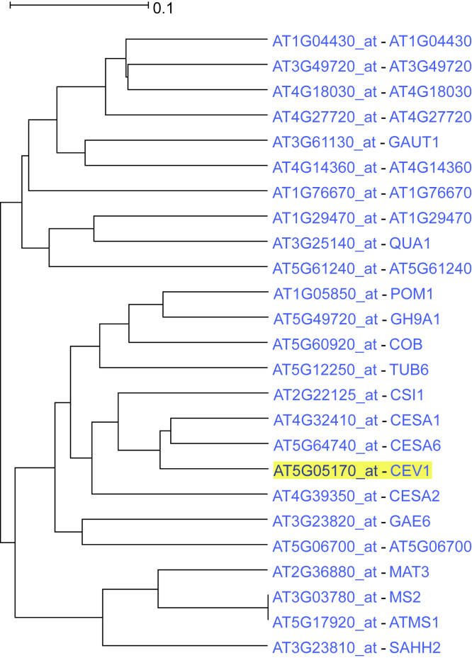 Figure 2