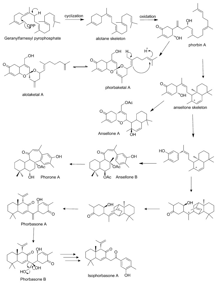 Scheme 3