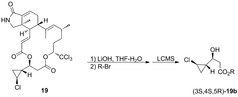 Scheme 1