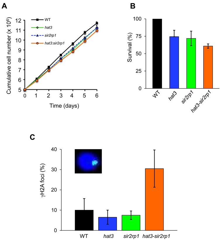 Figure 3.