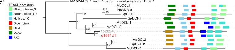 FIGURE 3