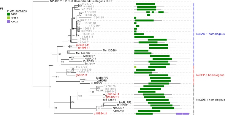 FIGURE 2