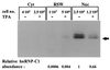 FIG. 8