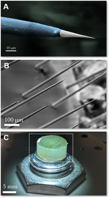 Figure 2: