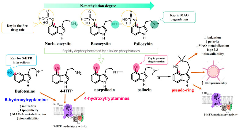 Figure 4