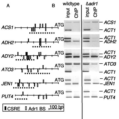 FIG. 5.