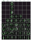 Extended Data Figure 4