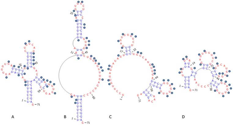 Fig 11