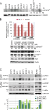 FIG 1