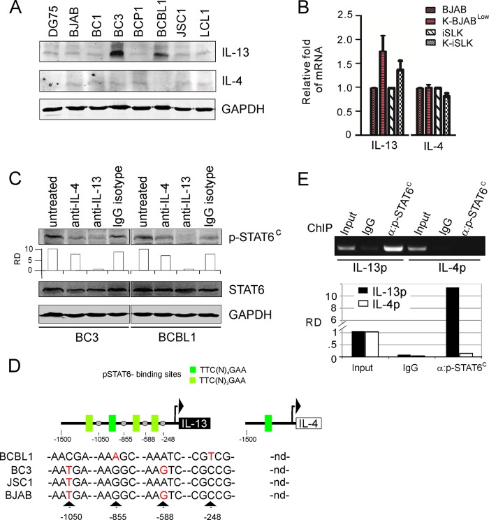 FIG 6