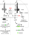 FIG 8