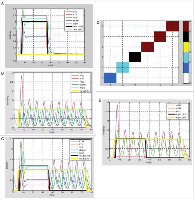 Figure 2.