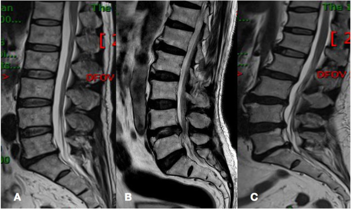 Fig. 5