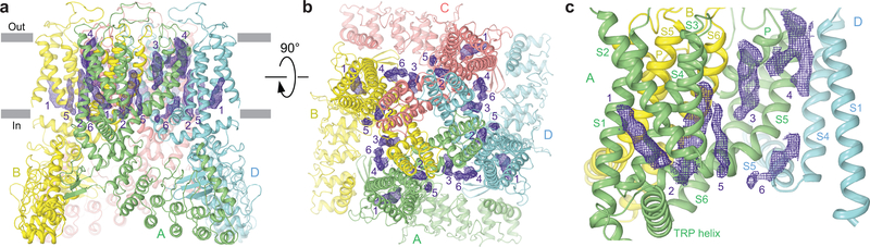 Figure 5.