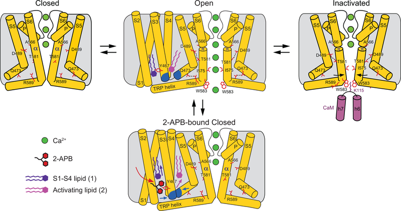 Figure 10.