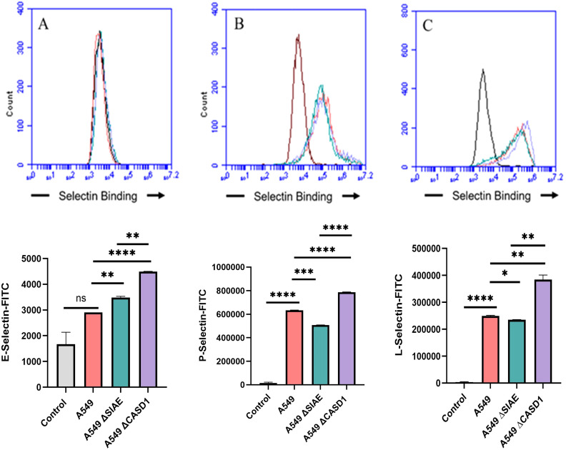 Figure 4