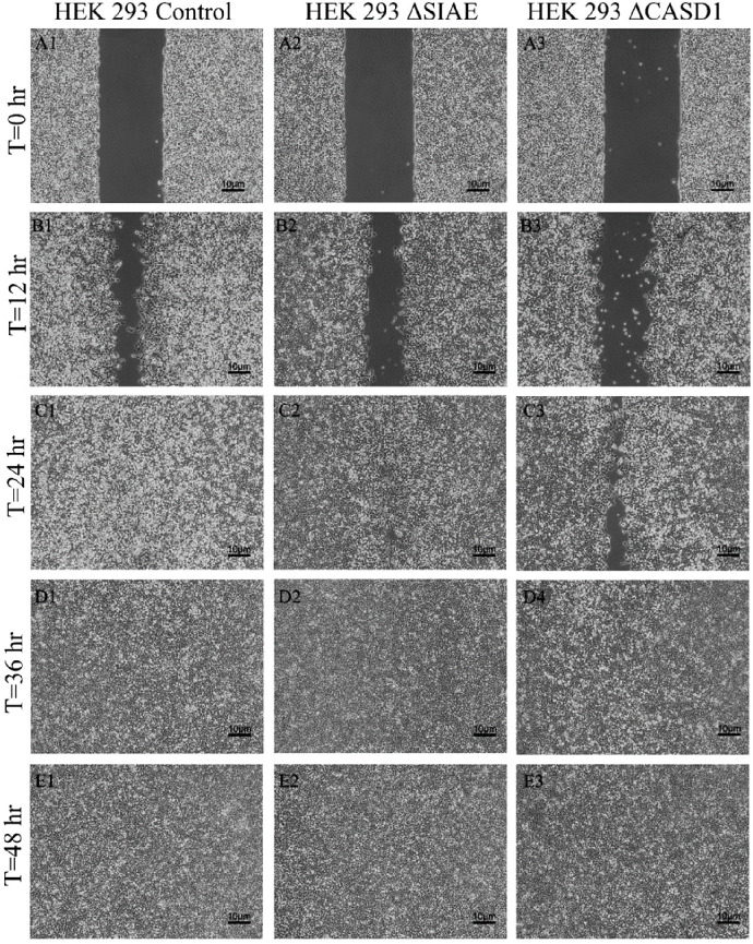 Figure 13