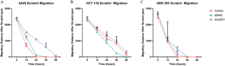 Figure 14