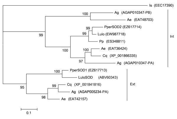 Figure 11