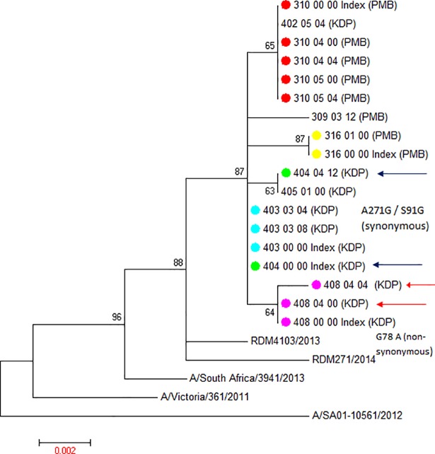 Fig 3