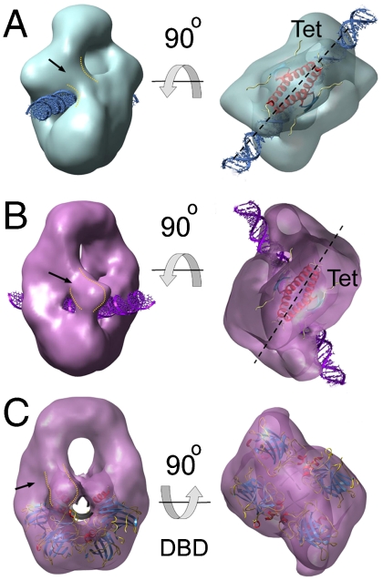 Fig. 5.