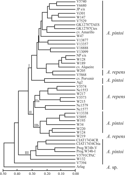 Figure 1