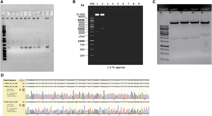 Figure 4