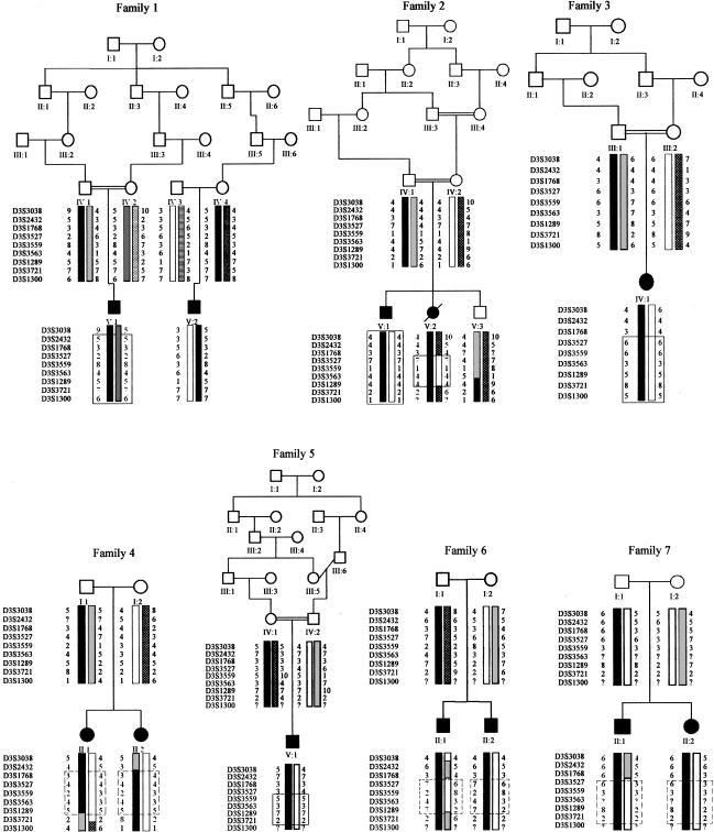 Figure  2