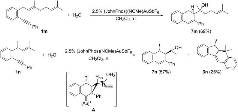 Scheme 6