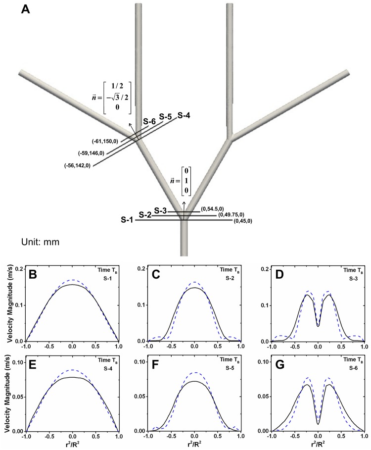 Fig 5